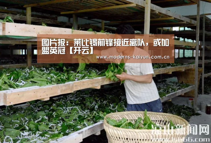 图片报：莱比锡前锋接近离队，或加盟英冠【开云】