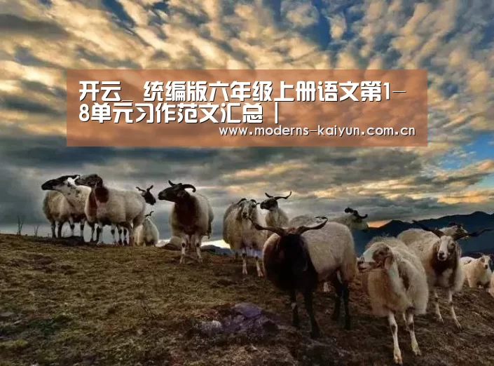 开云体育下载
