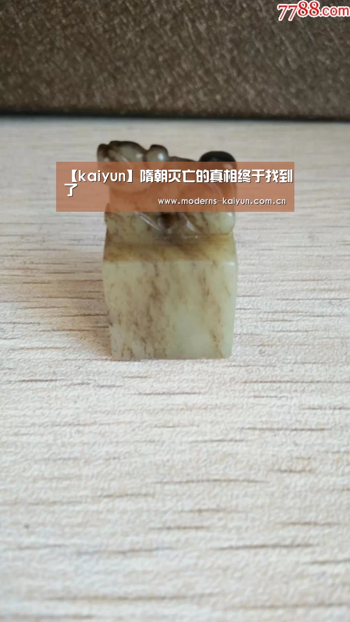 【kaiyun】隋朝灭亡的真相终于找到了(图3)