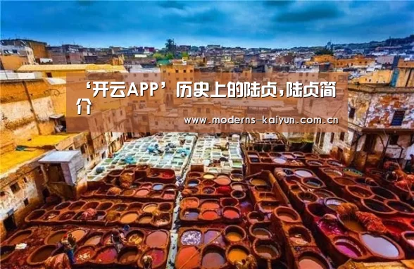‘开云APP’历史上的陆贞,陆贞简介
