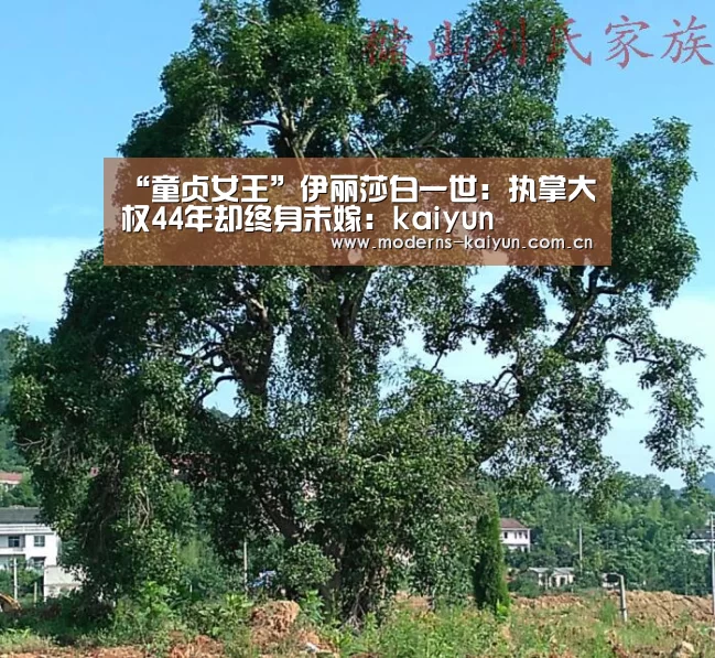 开云官网