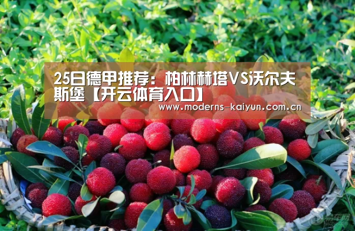 25日德甲推荐:柏林赫塔VS沃尔夫斯堡【开云体育入口】(图1) 25日德甲推荐:柏林赫塔VS沃尔夫斯堡【开云体育入口】(图1)