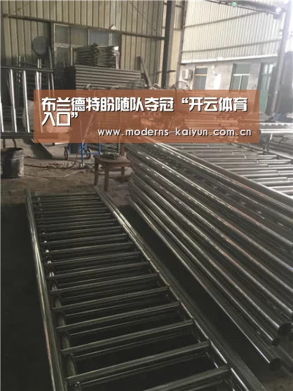 开云体育入口